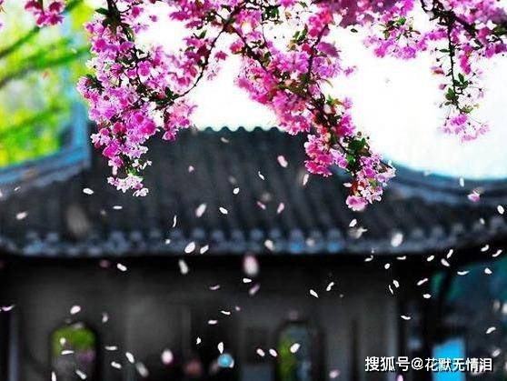 警惕非法网站，探索自然美景的正确途径