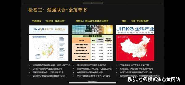 最新职业斗狗，趋势、挑战与深度解析