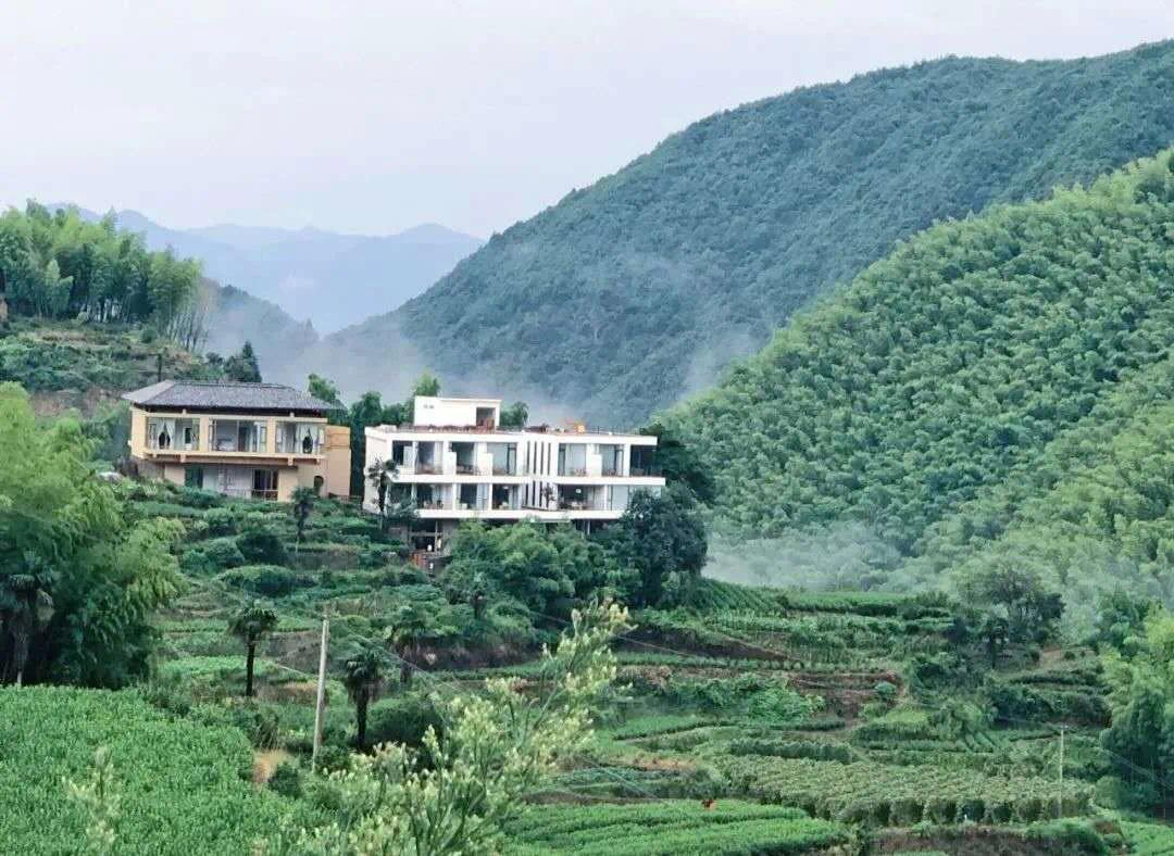 遂昌最新公告，探索自然美景之旅，寻找内心的平和与宁静