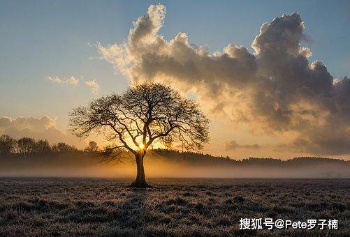 痴荆最新，自然美景之旅，探寻内心平和与喜悦的旅程