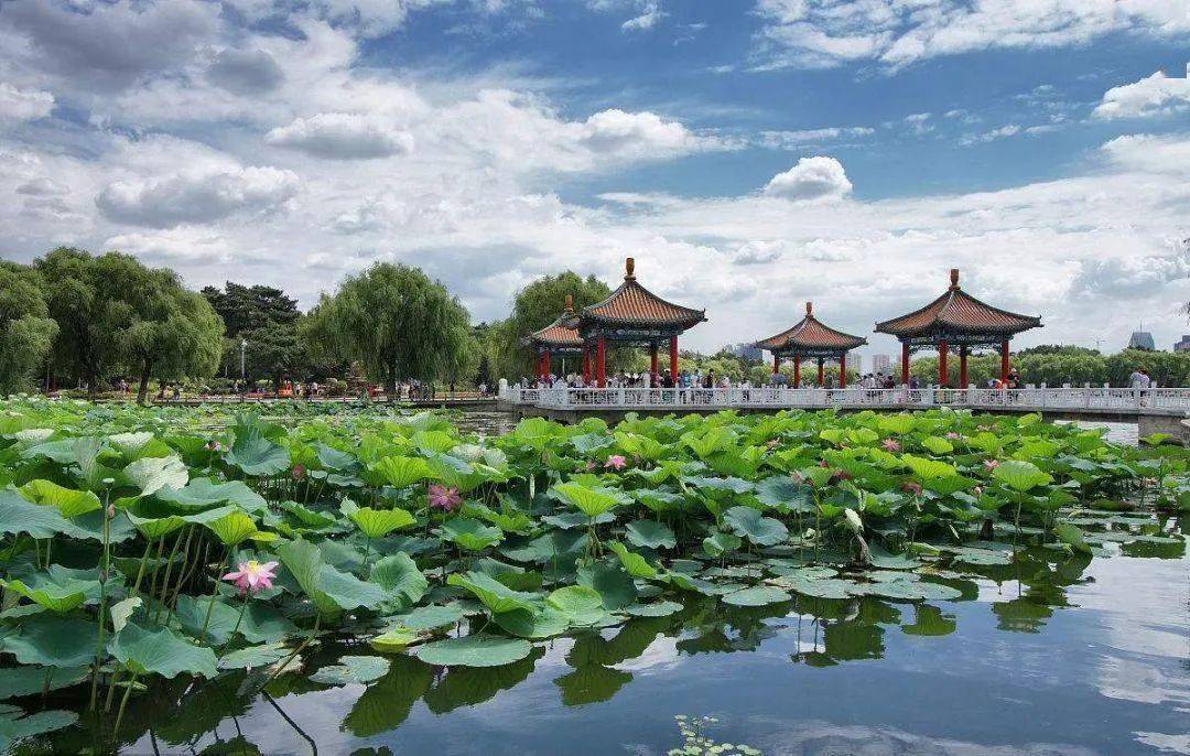 宁波电视台最新招聘，探索自然美景之旅，寻找内心平和与宁静的伙伴
