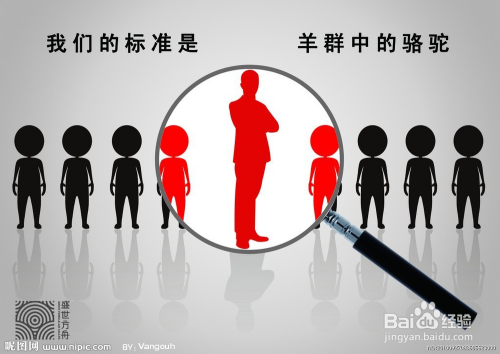 黄岩人才网最新招聘信息汇总与观点论述