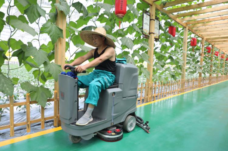 上海枫泾兴塔最新招工信息及观点论述揭秘