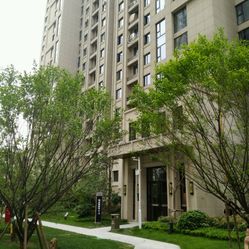 名门万象最新资讯详解，获取与应用相关资讯的步骤指南