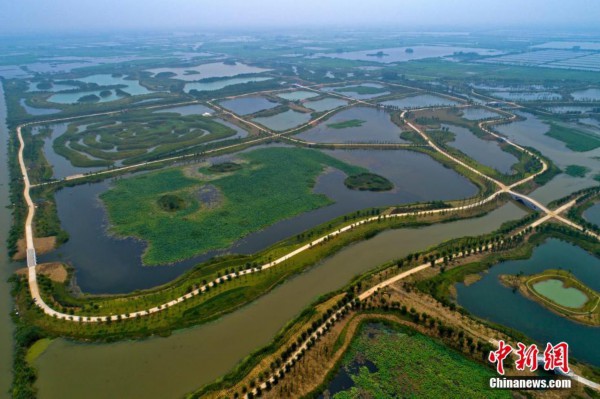 杭州白马湖最新动态，自然美景之旅，探寻内心宁静与平和
