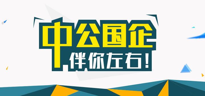 湖南卫视招聘网最新招聘信息，学习变化，成就自信与梦想之路