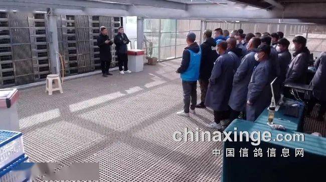 宝耐公棚最新公告，自然美景探索之旅邀请