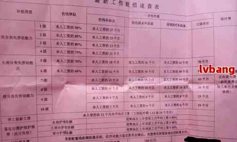 最新伤葬费规定与探索自然美景之旅的双重解读