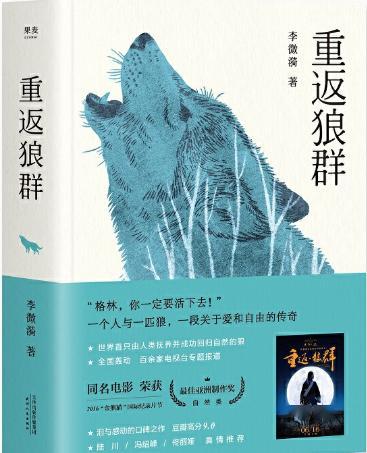 最新有声小说排行榜，探索热门故事的魅力世界