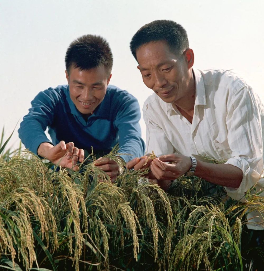 宝平建筑工程 第28页