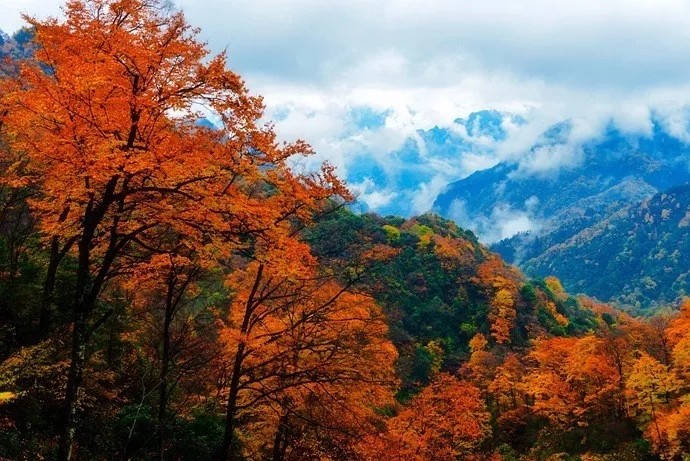 光雾山最新路况与行车指南，旅行体验详解