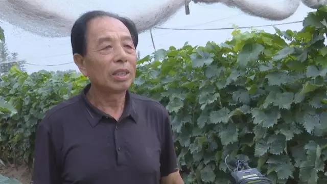 孟村环保最新动态更新