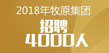 唐海最新招聘动态，启程探索自然美景，寻求内心平和与宁静