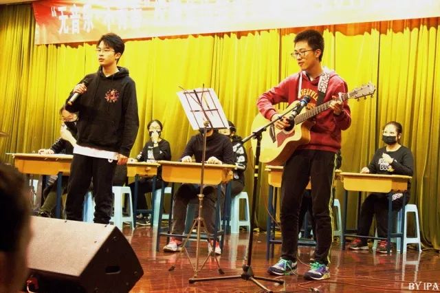 山村合欢曲最新章节深度解读，山村文化现象探析