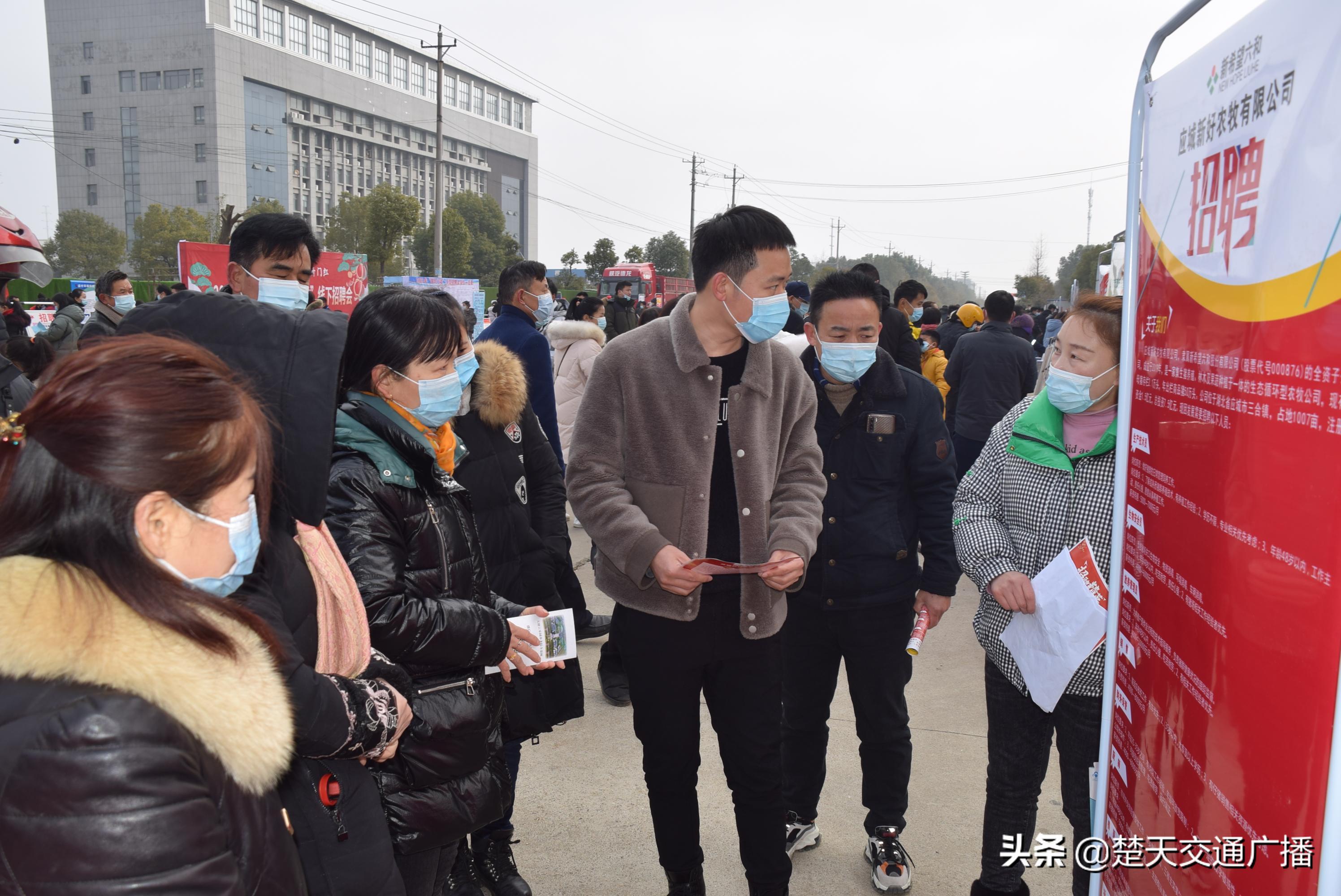 应城工厂最新招聘信息全攻略，获取指南与指南详解